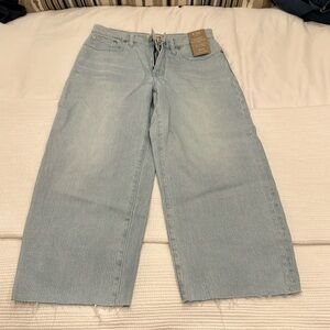 Madewell NWT Wide Crop Jean -28P